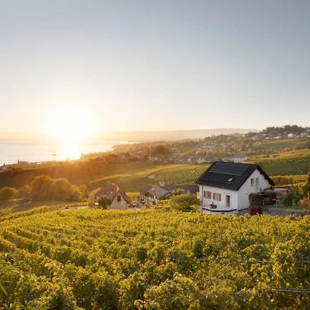 #Lavaux Hotell Lutry Eksteriør bilde