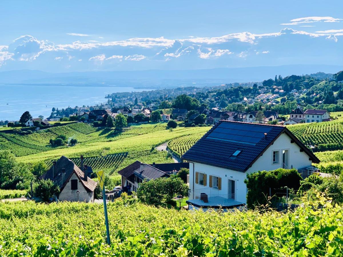 #Lavaux Hotell Lutry Eksteriør bilde