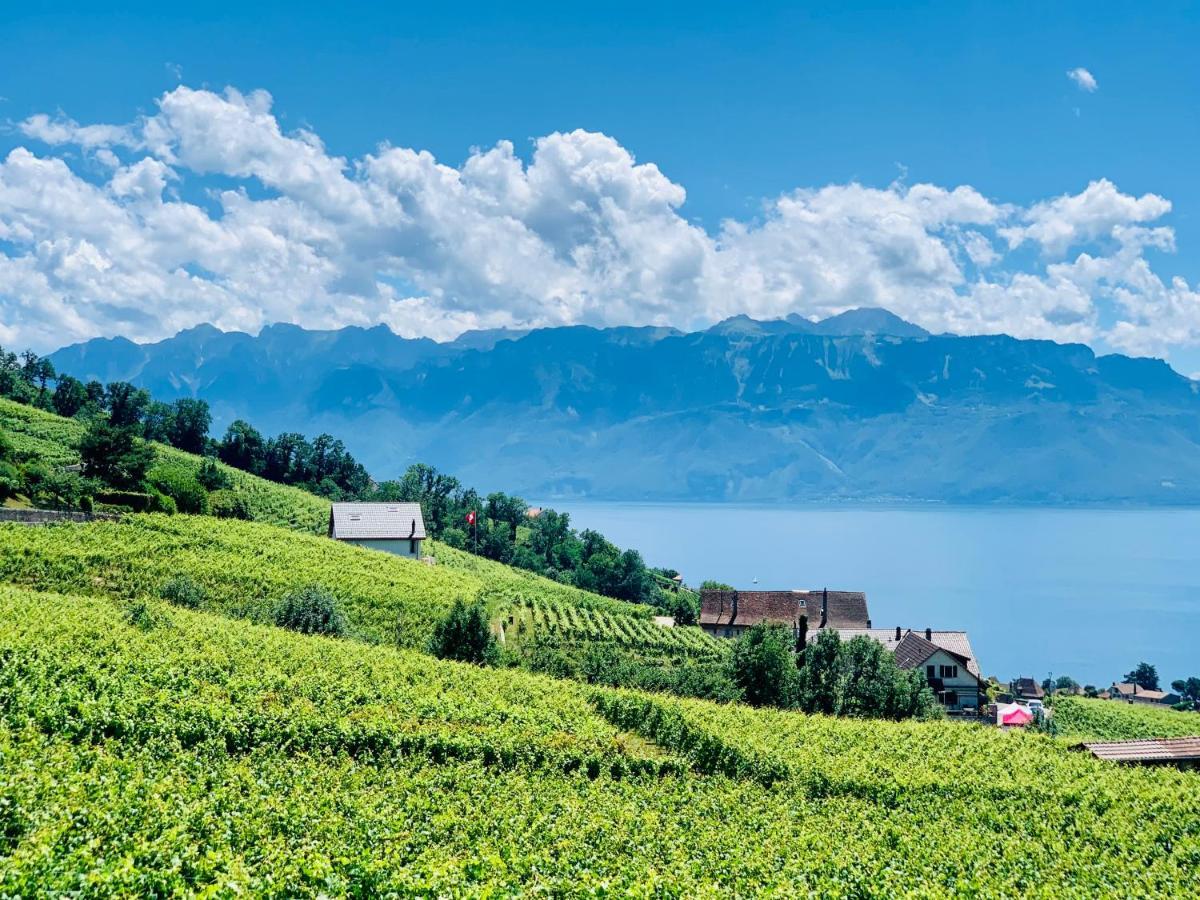 #Lavaux Hotell Lutry Eksteriør bilde