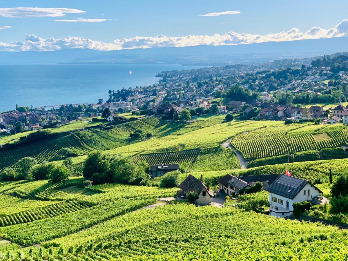 #Lavaux Hotell Lutry Eksteriør bilde