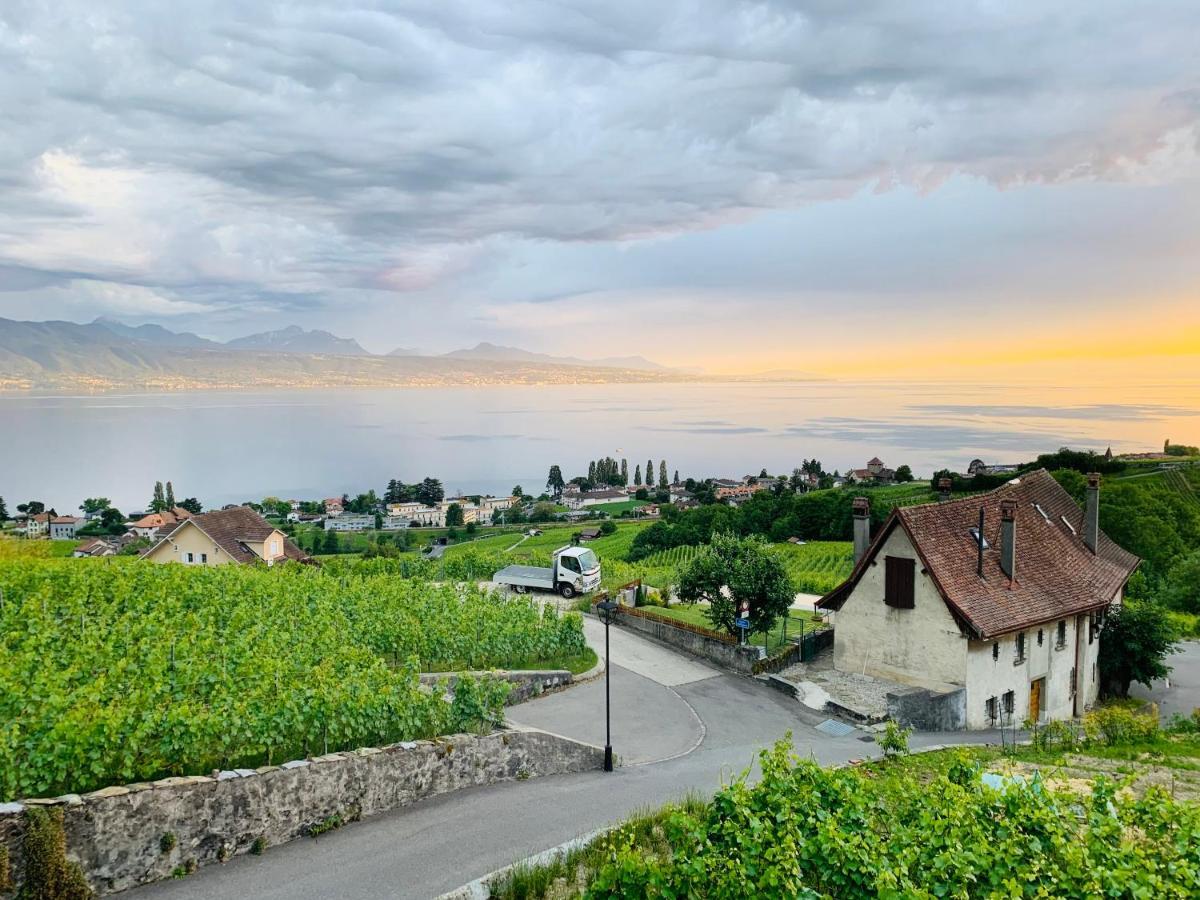 #Lavaux Hotell Lutry Eksteriør bilde