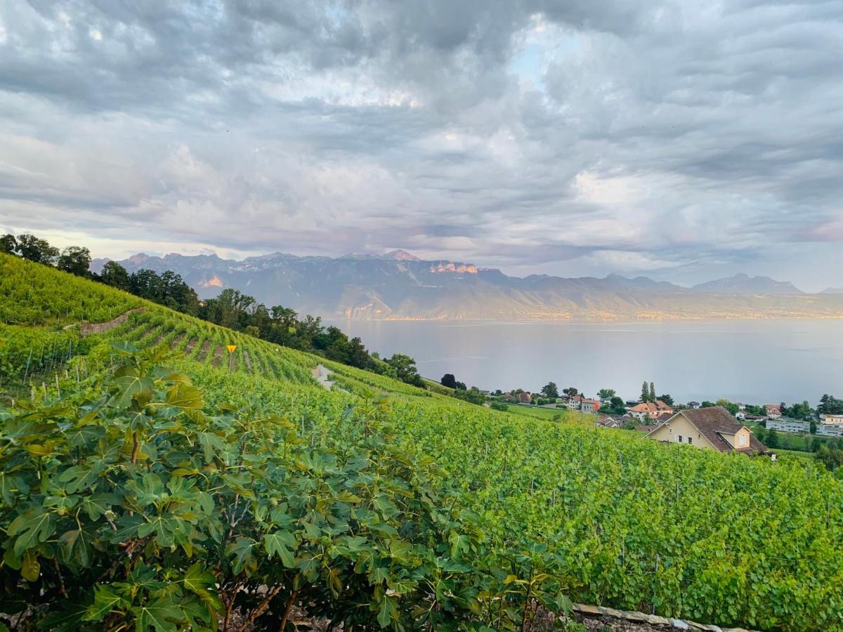 #Lavaux Hotell Lutry Eksteriør bilde