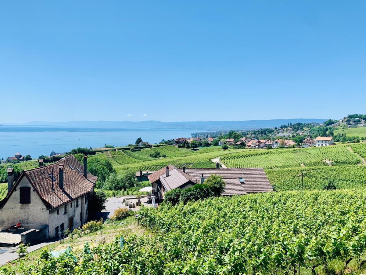 #Lavaux Hotell Lutry Eksteriør bilde