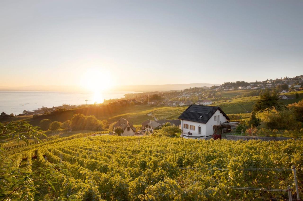 #Lavaux Hotell Lutry Eksteriør bilde